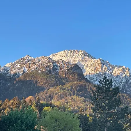 Apartment Sonnenpanorama Bad Reichenhall